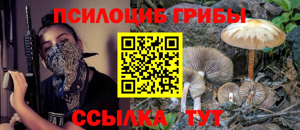 Кострома  Галлюциногенные грибы Psilocybe  как найти закладки  Вход с VPN 